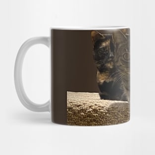 Copy Cats Mug